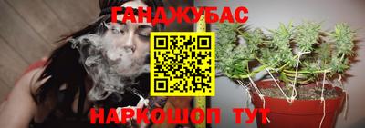 jwh Бийск