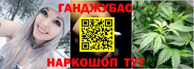 jwh Бийск
