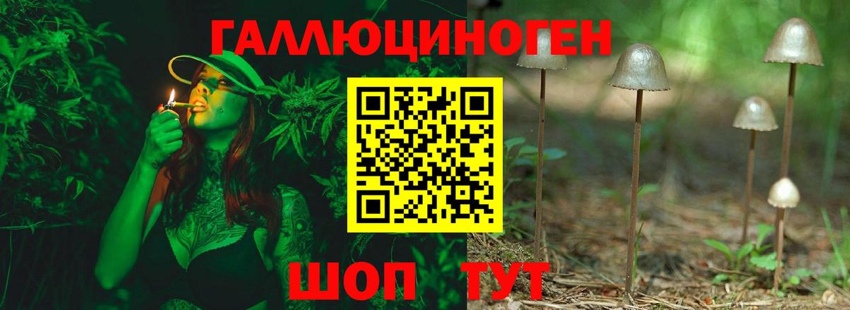 Галлюциногенные грибы MAGIC MUSHROOMS Кольчугино