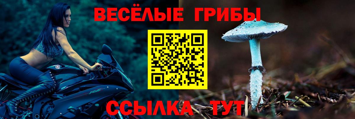 Кольчугино  Галлюциногенные грибы MAGIC MUSHROOMS  Вход с VPN  Псилоцибиновые грибы Psilocybine cubensis 